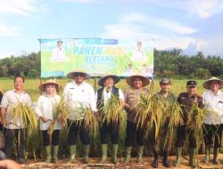 Panen Perdana di Desa Banyuasin, Safrizal Imbau Petani Pertahankan Lahannya