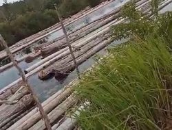 Kadis LHK Babel Klaim 250 Batang Kayu di Sungai Nyireh Toboali Sudah Kantongi Izin Rekomendasi