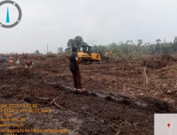 Ratusan Hektar Lahan di Labuh Air Pandan Diduga Dijual ke Perusahaan Sawit