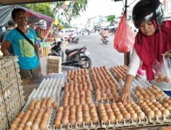 Harga Telur Naik, Sekilo Tembus Rp30.000 di Ritel Modern