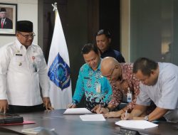 Bank Sumsel Babel Salurkan KUR untuk Peternak Sapi