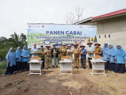 Ponpes Quran Cahaya Ikut Sukseskan Program Kemandirian Pangan Bangka Belitung