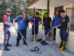 Bersembunyi di Kamar Tidur, Ular Kobra Berhasil Dievakuasi Tim Damkar