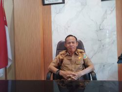 Perawatan Kurang Maksimal, 20 Ribu Bibit Cabai Gagal Diterima Kota Pangkalpinang