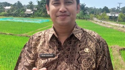 Produksi Cumi Bangka Tengah Turun hingga 15 Persen