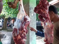 Daging Sapi di Pasar Mentok Capai Rp150 Ribu per Kilogram