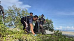 Gerakan Peduli Lingkungan: PLN Gotong Royong Bersihkan Pantai Tanjung Pendam untuk Konservasi Ekosistem