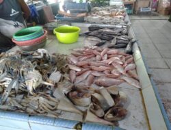 Dampak Cuaca, Harga Ikan di Pasar Higenis Merangkak Naik