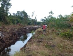Polemik Perkebunan Sawit di Desa Air Nyatoh Belum Temui Kesepakatan, Reza: Niat Berkebun Bukan Jual Lahan