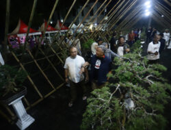 Berdampak untuk Ekonomi Masyarakat, Erzaldi dan Sukirman Apresiasi Bonsai Bangka Fest 2024