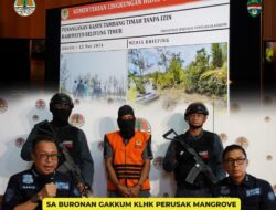 Buron Dua Tahun, Tersangka Koordinator Tambang Ilegal DAS di Beltim Ditangkap Gakkum KLHK di Palembang