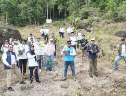 Dukung Program Penanaman Sejuta Pohon, PLN Salurkan Bantuan TJSL 10.000 Pohon