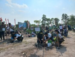 Januari-Juli Pemprov Babel Telah Tanam 974 Ribu Pohon, Safrizal: Perusahaan Ikut Bantu dalam Pengadaan Alat