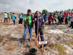 Bersama Pemkab Bangka, PT Timah Tanam Pohon di Kawasan Pantai
