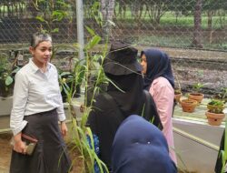 Kelekak EcoBoost: Inovasi Hijau Pertamina dan Dampak Sosial Ekonomi bagi Masyarakat Pangkalpinang