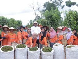 Pj Gubernur  Berupaya Kembalikan Kejayaan Lada Babel