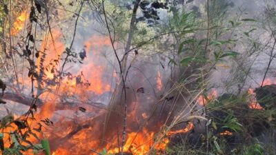 Damkar Babar Catat Ada 39 Kasus Kebakaran Januari – Agustus 2024