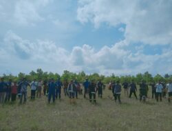 Cegah Abrasi, HNSI Bangka dan PT Timah Tanam Ribuan Mangrove di Muara Tengkorak
