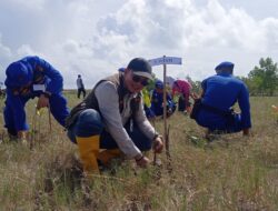 Perlu Peran Semua Pihak, DLH Bangka Ungkap Puluhan Ribu Hektar Lahan di Bangka Masuk Lahan Kritis
