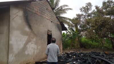 Damkar Bangka Catat 20 Peristiwa Kebakaran di Tahun 2024, Didominasi Kebakaran Hutan dan Lahan