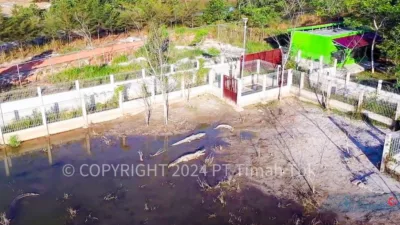 PPS Alobi di Kampoeng Reklamasi Air Jangkang PT Timah Rehabilitasi Puluhan Buaya