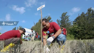 Kolaborasi Kurangi Lahan Kritis di Bangka Belitung, PT Timah Terus Galakkan Penanaman Pohon 