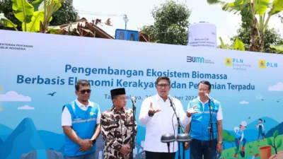 Canggih! PLN Sulap Lahan Kritis Jadi Hijau dan Produktif