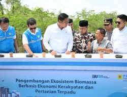 PLN Bersama Kementan Luncurkan Model Pertanian Terpadu