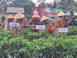 Tekan Inflasi, Pj Gubernur Ajak Tanam Cabe di Pekarangan Rumah