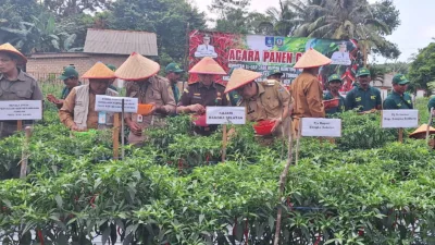 Tekan Inflasi, Pj Gubernur Ajak Tanam Cabe di Pekarangan Rumah