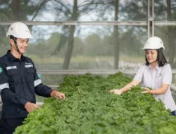 Langkah Hijau PT Timah, Lakukan Pengelolaan Lingkungan untuk Masa Depan Berkelanjutan