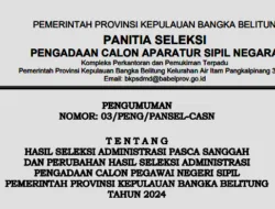 1.183 Pelamar CPNS Pemprov Babel Lanjut ke Tahap SKD