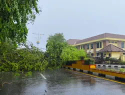 Cuaca Pancaroba, BPBD Pangkalpinang Imbau Masyarakat Hati-hati Angin Kencang