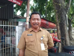 Pohon Tumbang Akibat Angin Kencang, DLH Rencanakan Topping Pohon-pohon Besar di Kota Pangkalpinang