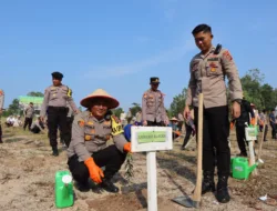 Program Kapolda Babel, Polres Bangka Tanam 500 Bibit Kayu Putih di Lahan Eks Tambang