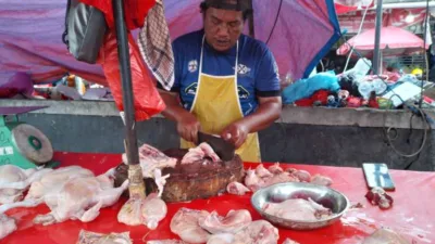 Harga Ayam Broiler di Pangkalpinang Melonjak Tajam, Naik Rp8 ribu Perkilogram dalam Waktu Tiga Hari