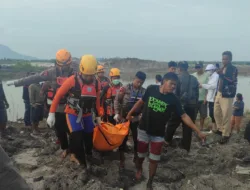 Diterkam Buaya, Penambang Timah di Belinyu Ditemukan Meninggal Dunia dengan Luka di Kepala dan Punggung