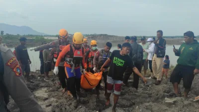 Diterkam Buaya, Penambang Timah di Belinyu Ditemukan Meninggal Dunia dengan Luka di Kepala dan Punggung