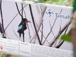 PT Timah Bersama Alobi Foundation Gotong Royong Melestarikan Satwa