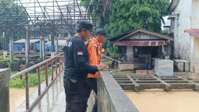 Antisipasi Banjir Akibat Hujan dan Air Laut Pasang, BPBD Bangka Barat Pantau Sejumlah Aliran Sungai di Mentok