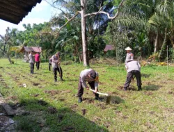Dukung Ketahanan Pangan, Polsek Mendobarat Tanam Jagung di Pekarangan