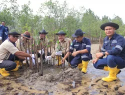 Kolaborasi dengan Masyarakat Desa Gemuruh, PT Timah Tbk Tanam Ribuan Mangrove di Pantai Batu Kucing