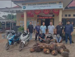 Terlilit Masalah Ekonomi, Tiga Buruh Harian Nekat Curi Buah Sawit Milik PT BSSP