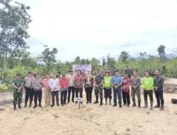 Rehabilitasi DAS di Bangka Selatan, PT TAM Kolaborasi Bersama Korem 045 Gaya Tanam Pohon Kayu Putih 