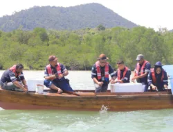PT Timah Lepaskan Ribuan Bibit Kepiting di Perairan Kundur dan Karimun