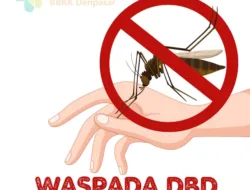 Musim Penghujan Waspada Penyakit DBD Mengintai, Puskesmas Toboali Imbau Ini ke Masyarakat
