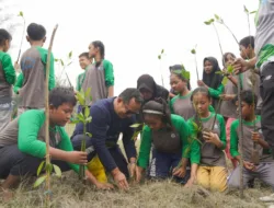 PT Timah Tbk Bersama Pelajar di Kabupaten Bangka Tanam 3000 Bibit Mangrove di Pantai Takari