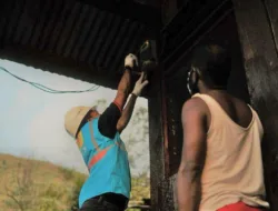 PLN Pastikan Pelanggan Listrik  akan Menikmati Diskon 50 Persen Tanpa Ribet