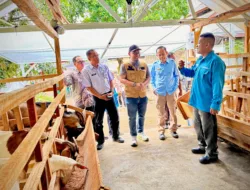 PLN UIW Babel Serahkan Bantuan TJSL Pemberdayaan Kelompok Kambing Perah