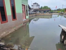 Momen Tahunan, Kampung Natak Nelayan Sungailiat Terendam Banjir Rob Setinggi Lutut Orang Dewasa